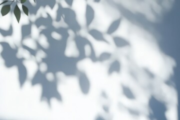 Abstract Leaf Shadows