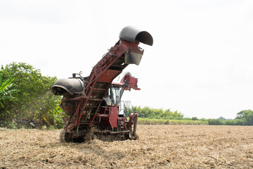 Sugarcane harvester cutting a vast crop