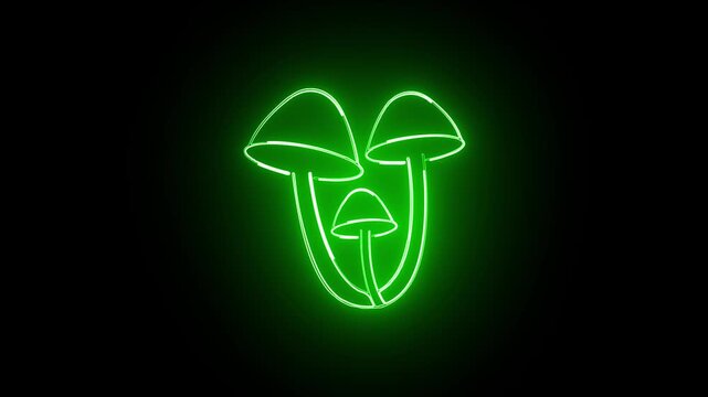  Mushroom icon animation . Natural food. Foraging edible mushrooms. Black background
