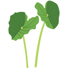 Green Lotus Leaves Illustration 