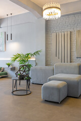 stylish discreet interior of the sleeping area in a modern studio in white-gray colors with green plants. daylight and no people inside