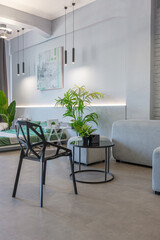 stylish discreet interior of the sleeping area in a modern studio in white-gray colors with green plants. daylight and no people inside
