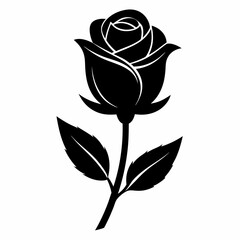 Black Rose flower bud silhouette