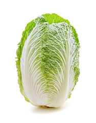 Fototapeta premium Chinese cabbage isolated on white background
