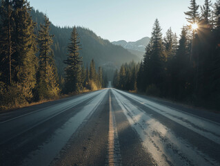 Obraz premium A Straight Asphalt Road Through a Forest of Tall Trees