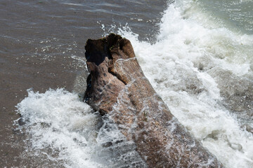 flowing water and waves crashing on a large piece of driftwood on the beach by the lake during a...