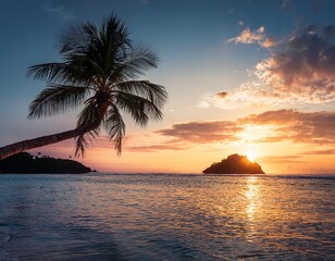 Tropical island with a palm tree at sunset