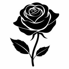 Black rose silhouette