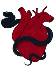 Realistic anatomical human heart squeezed by black snake illustration