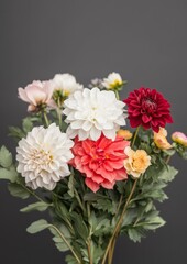 Stunning Arrangement of Vibrant Dahlias Against a Dark Background, Unveiling Rich Colors and Intricate Details in Dramatic Contrast