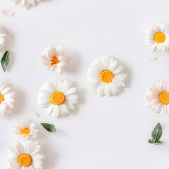 Seamless Realistic Chamomile Daisy White Flowers With Border Patterns on a White Background.  Abstract Floral 3D Landscape Wall Sticker. HD Seamless Flower Wallpaper, daisy flowers on white
