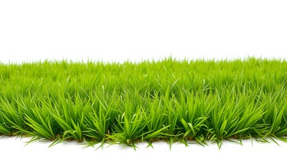 A vibrant close-up of fresh green grass blades isolated against a white background. The lush grass is vividly colored, with sharp edges and natural variations in texture, creating a sense of freshness