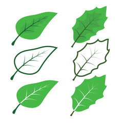 set of leaves