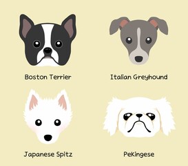 Dog Face character icon illustration by puppy breed