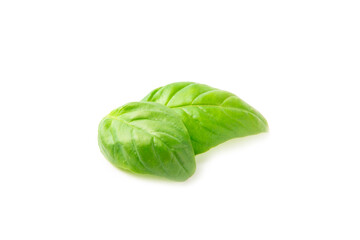 Basil isolated on white background. Fresh organic basil leaves isolated on white background. Spices. Vegan.