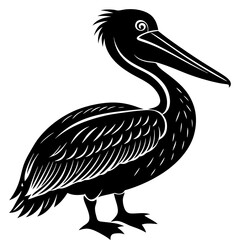 pelican silhouette vector illustration