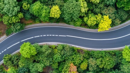 Winding road through an autumn forest with colorful foliage in the mountains