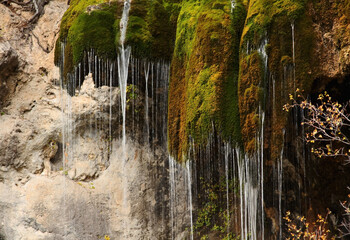 Hakone Gardens in California