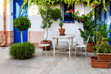 Tranquil Outdoor Patio Space with Seating and Plants. A serene and inviting outdoor seating area captured in natural light, showcasing a harmonious blend of architecture and nature.