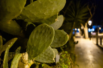 Formentera: pueblo Pilar de la Mola de noche con la iluminaci&oacute;n nocturna. captus