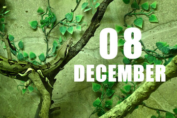 Calendar date on light green background with snake crawling on tree branch. December 8 is the eighth day of the month