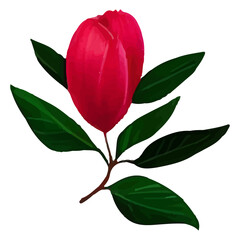 Single red flower bud with green leaves.