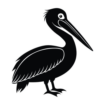 recommend clip art: Pelican silhouette vector illustration