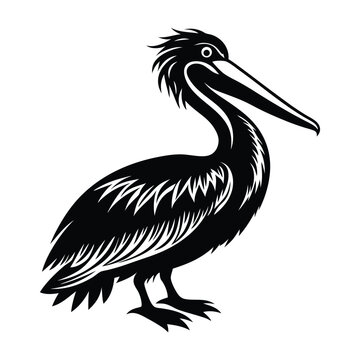recommend clip art: Pelican silhouette vector illustration