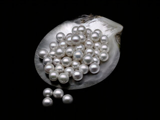 Expensive luxurious Chinese freshwater round pearls in a white shell, to be made into earrings, pendants or necklaces and sold in jewelry store. Popular feminine wedding accessory.
