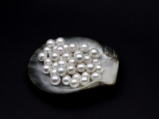 Expensive luxurious Chinese freshwater round pearls in a white shell, to be made into earrings, pendants or necklaces and sold in jewelry store. Popular feminine wedding accessory.