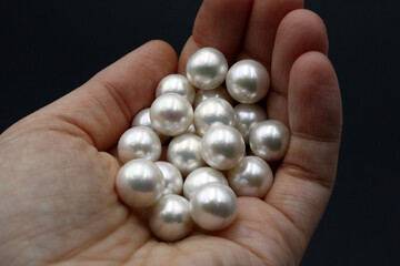 Expensive and luxurious round saltwater South Sea pearls held in the hand of a jeweler, ready to be made into earrings, pendants or necklaces and sold in jewelry store. Popular wedding accessory.