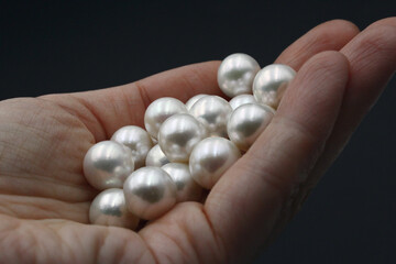 Expensive and luxurious round saltwater South Sea pearls held in the hand of a jeweler, ready to be made into earrings, pendants or necklaces and sold in jewelry store. Popular wedding accessory.