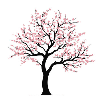 recommend clip art: Cherry Blossom Tree, vector black color silhouette, isolated white background