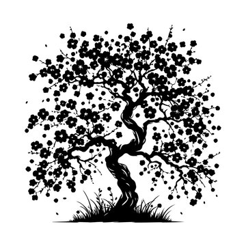 recommend clip art: Cherry Blossom Tree, vector black color silhouette, isolated white background