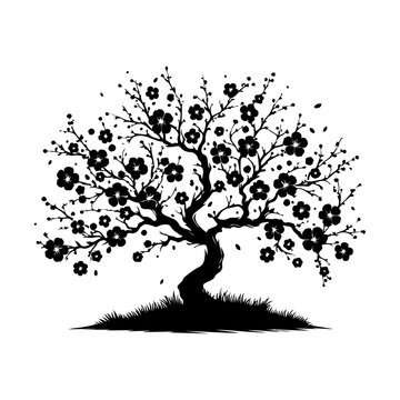recommend clip art: Cherry Blossom Tree, vector black color silhouette, isolated white background