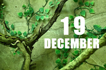Calendar date on light green background with snake crawling on tree branch. December 19 is the twenty-second day of the month