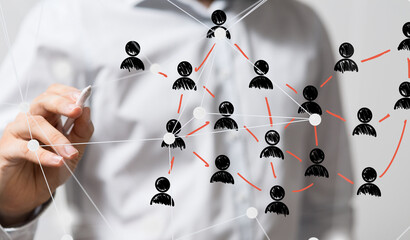 organization chart team concept networking