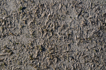 Plastic abstract texture. Surface grunge backdrop. Dirty effect pattern. Material background.
