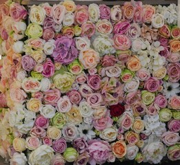 Background photo of a set of roses in pastel shades.
