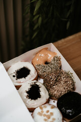 a treat of sweet delicious doughnut in sunny day at the cake shop