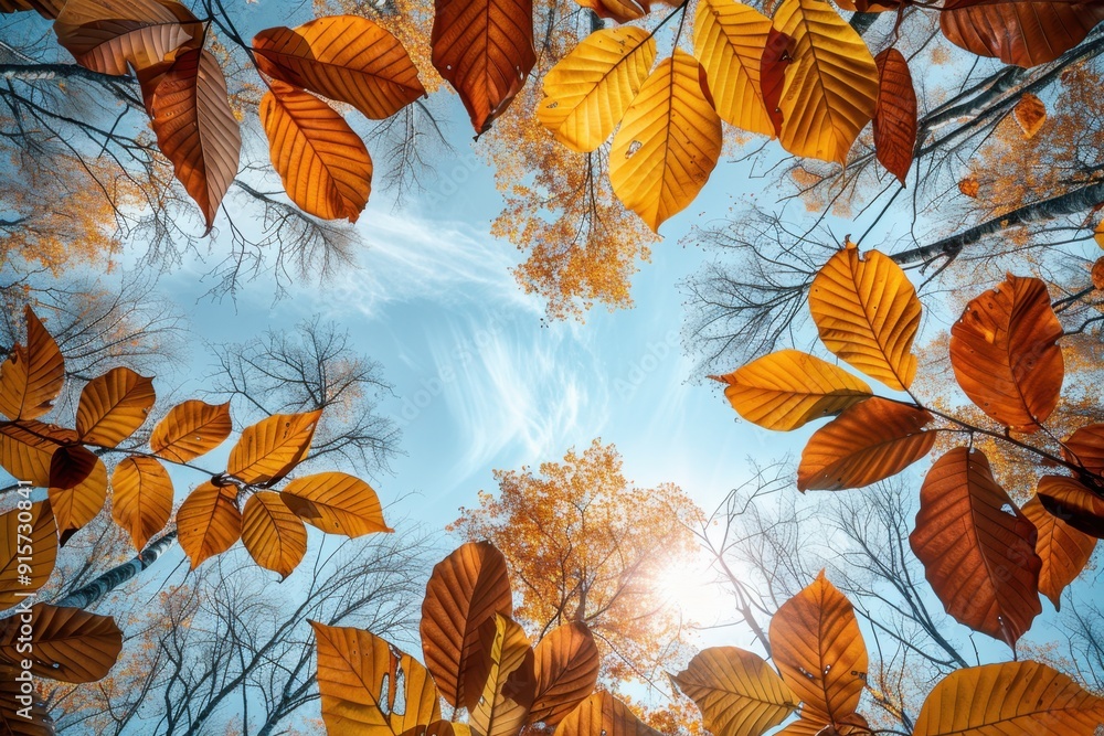 Poster a view of the canopy from below, with leaves in various shades of yellow and orange against an autum