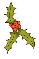 A Christmas holly plant, decorative is a illustration, hand-drawn with watercolor brushes, with outline on a white background. For postcards, greetings, stickers and others DIY.