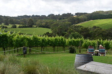 The lush green wineries of the Mornington Peninsula Shire in Victoria, Australia