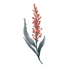 Watercolor illustration of a delicate, pink flower blossom with green leaves.