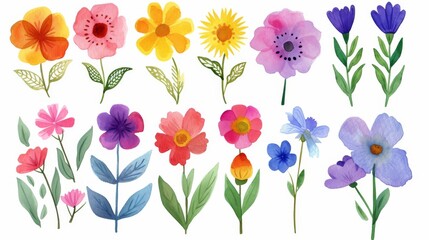 Set of colorful flowers in various shapes and sizes