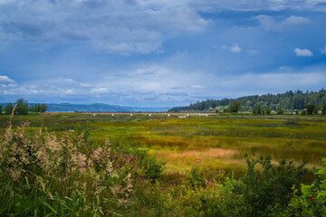 Fototapeta premium Theler wetland