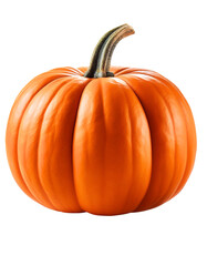 Obraz premium Pumpkin isolated on transparent background