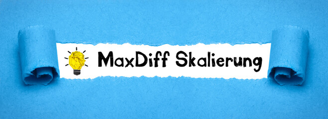 MaxDiff Skalierung	