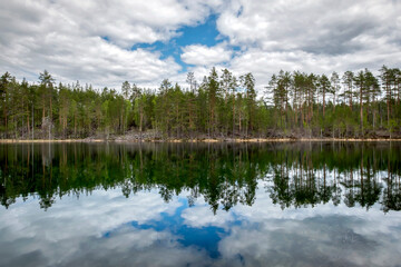 Fototapeta premium Quiet smooth beautiful lake in Karelia. Cloudy blue sky. Forest with trees and fir-trees.