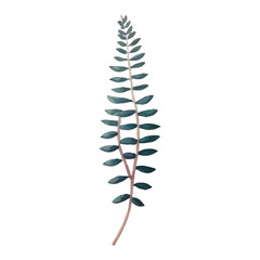 Watercolor illustration of a single green twig with leaves.